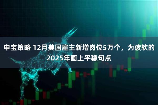 申宝策略 12月美国雇主新增岗位5万个，为疲软的2025年画上平稳句点